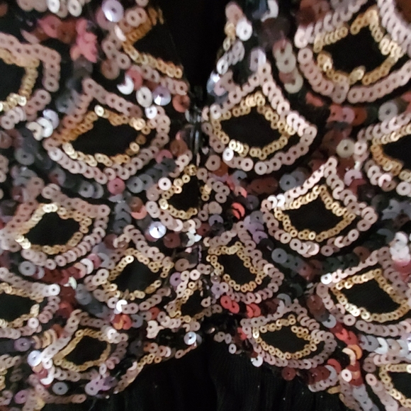 NWT Sequined Dress with Shimmery Skirt - Picture 5 of 6